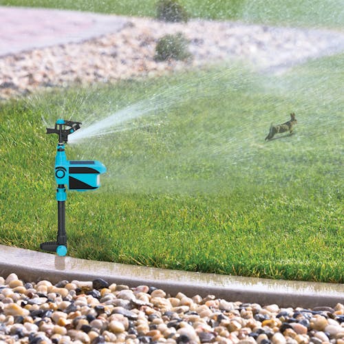 Restored Aqua Joe AJYP101 | YardGuard Motion Sensor Pest Deterrent Sprinkler | 3 Detection Modes | 5,700 Sq. Ft. Max Coverage* | 42 Ft. Max Spray Distance (Refurbished) - Image 6