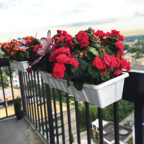Restored Sun Joe FPH1901W Deco Joe Adjustable Flower Box Holder | 18" - 36" in Length | White (Refurbished) - Image 4